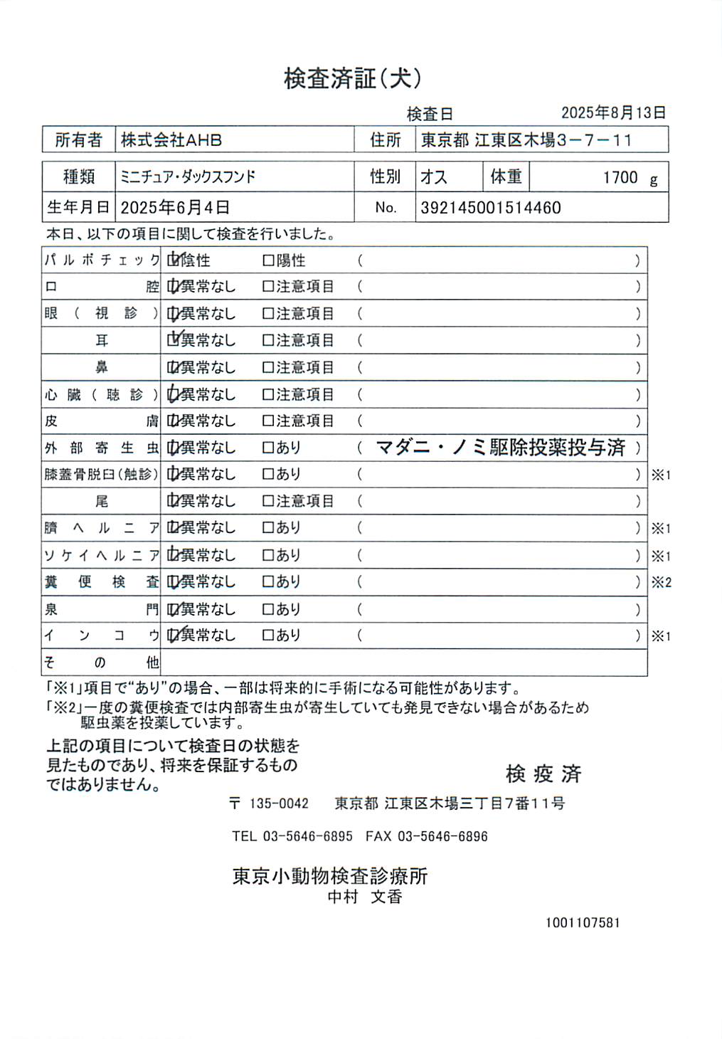 ミニチュア・ダックスフンド