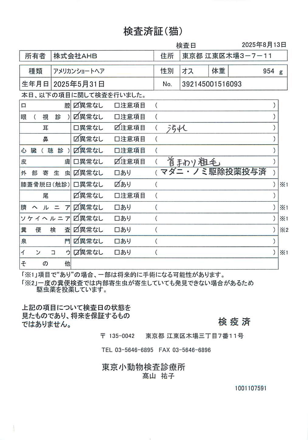 アメリカンショートヘア