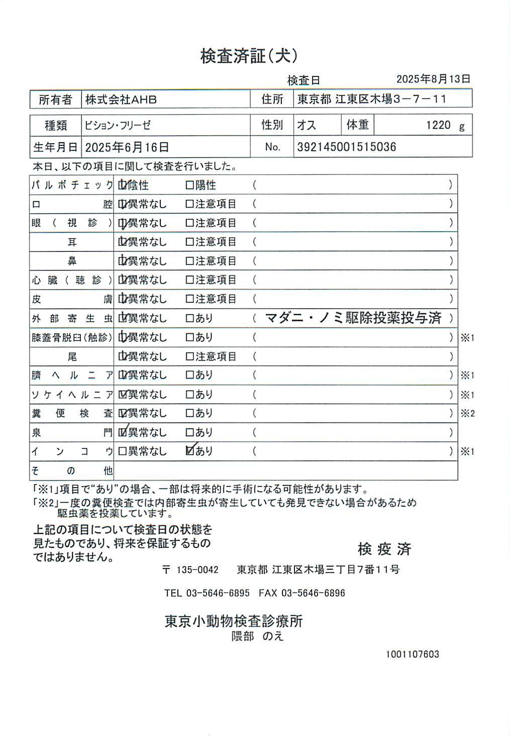 ビション・フリーゼ