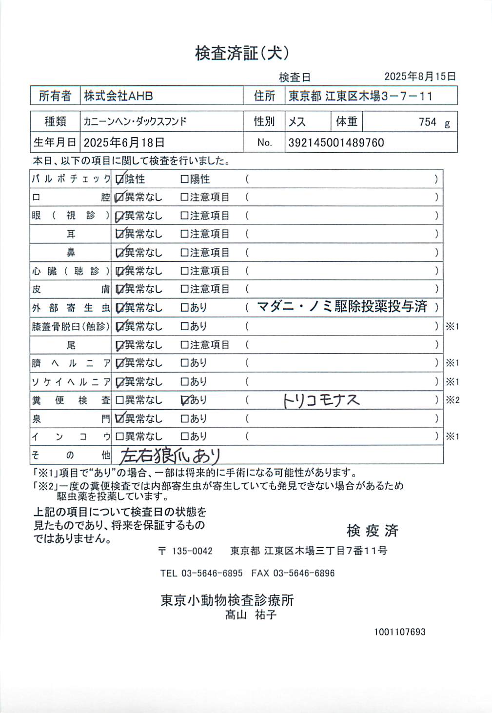 カニーンヘン・ダックスフンド