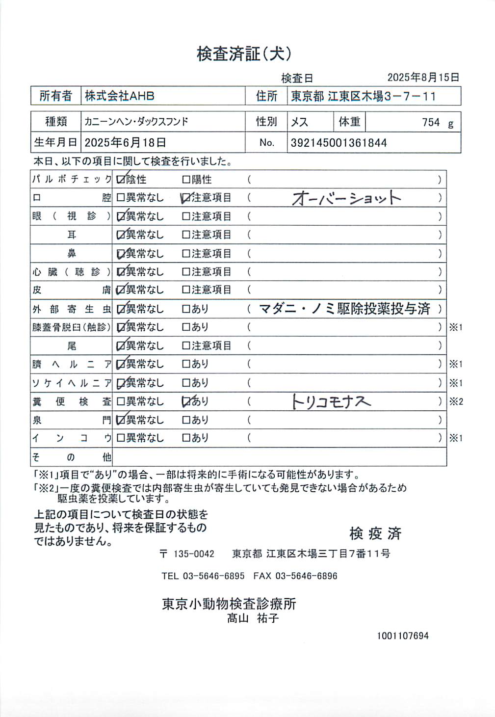 カニーンヘン・ダックスフンド