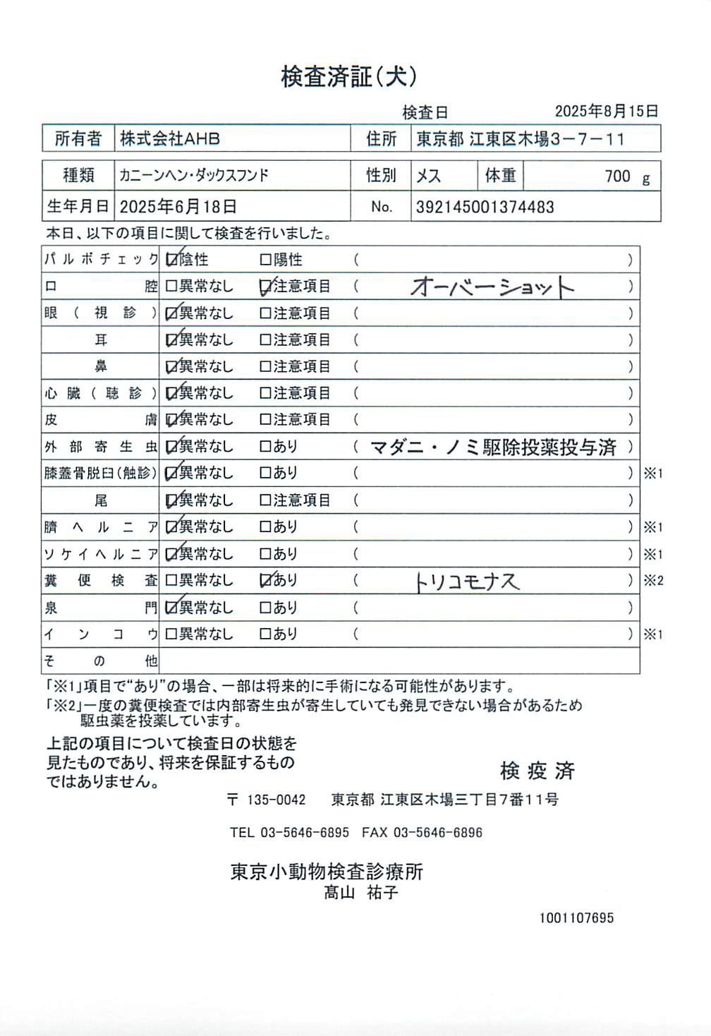 カニーンヘン・ダックスフンド