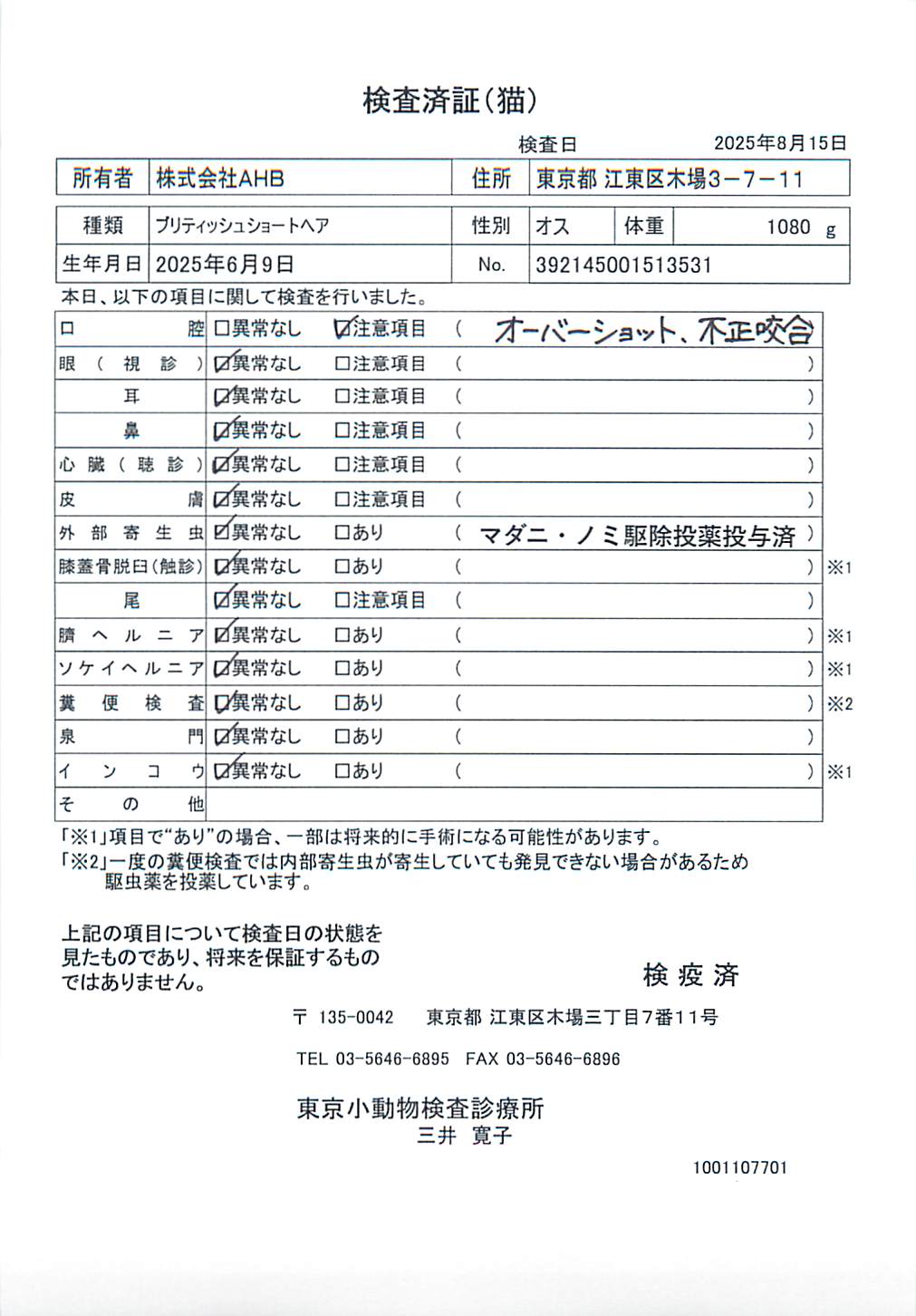 ブリティッシュショートヘア