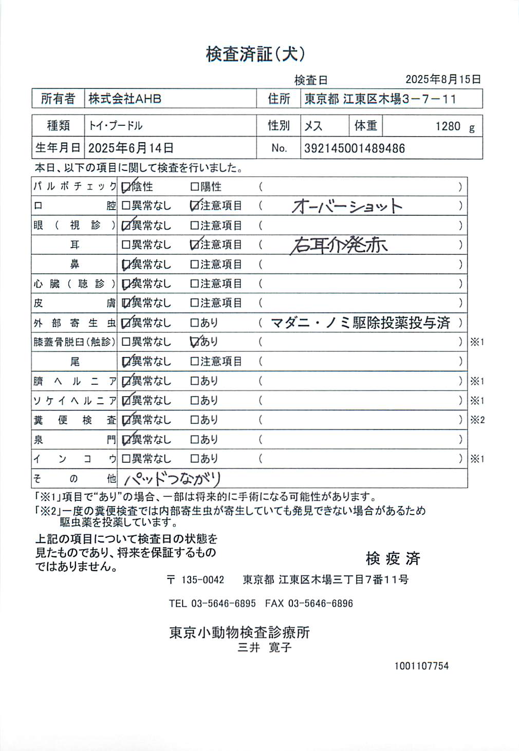 トイ・プードル