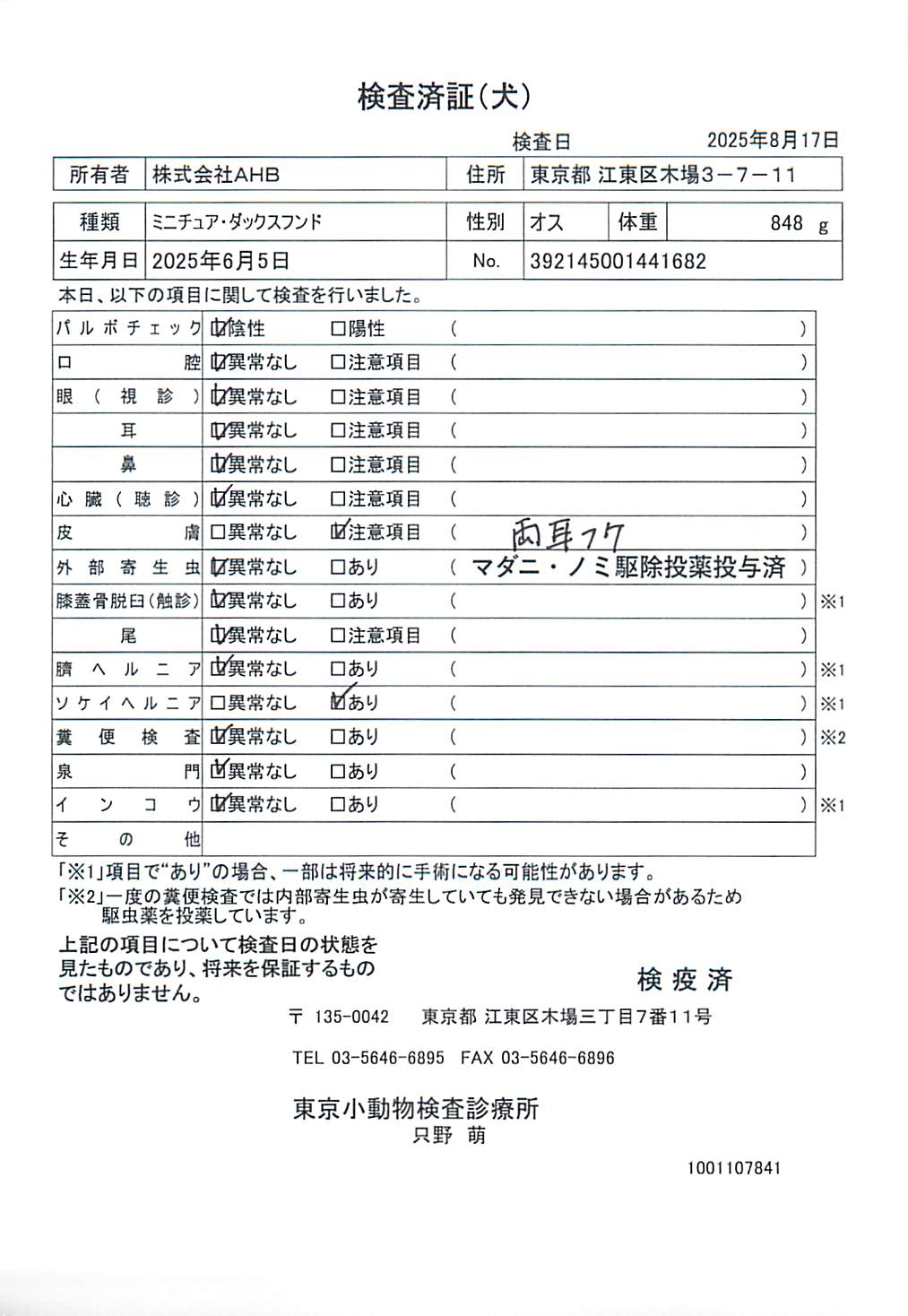 ミニチュア・ダックスフンド
