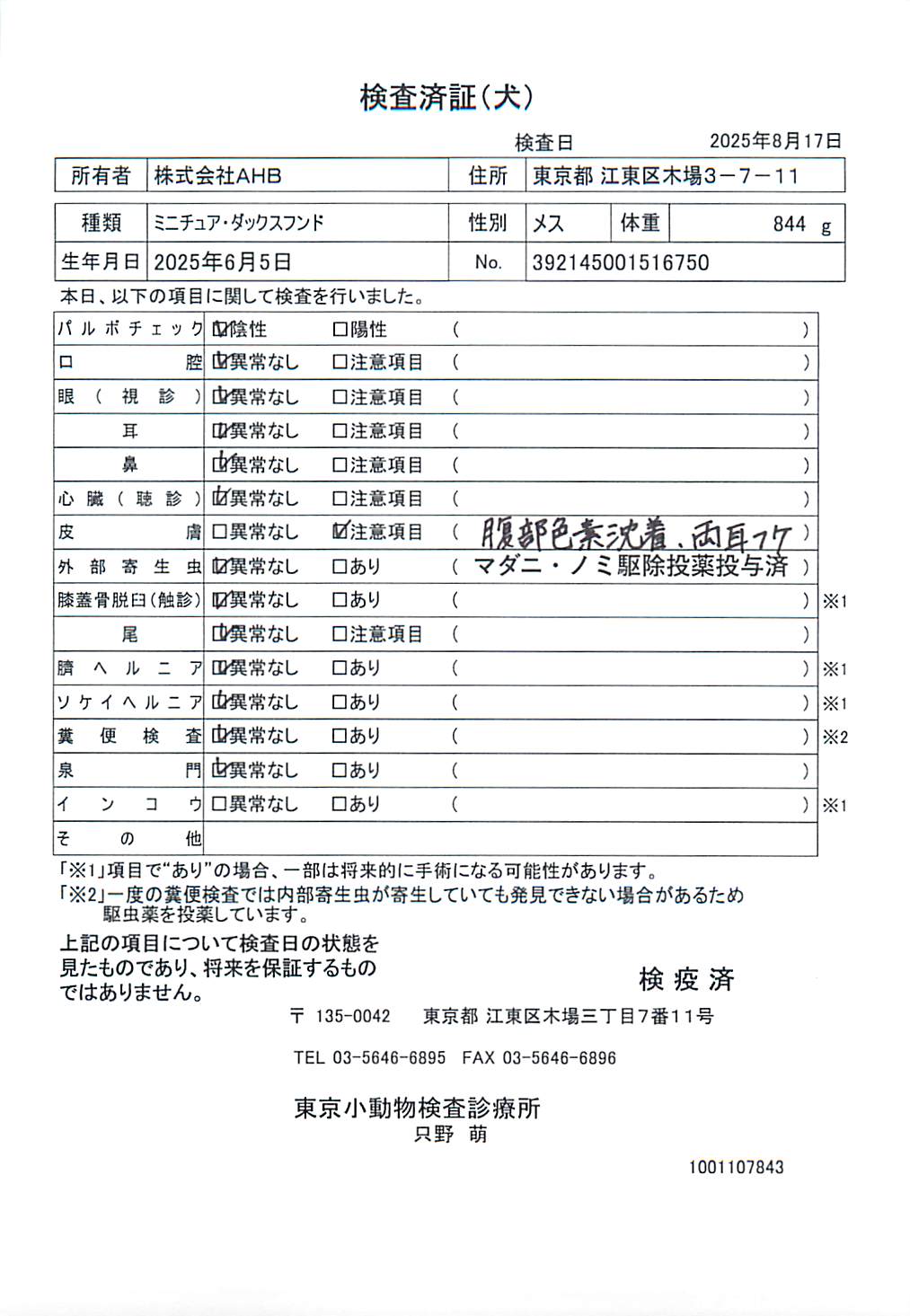 ミニチュア・ダックスフンド