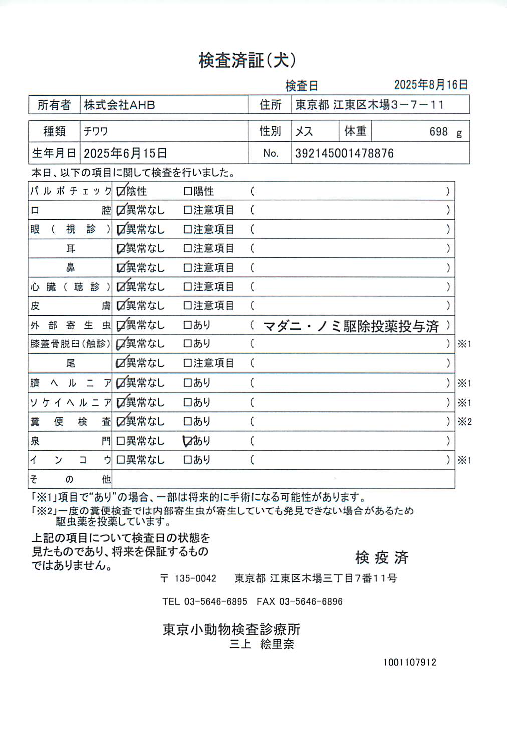 チワワ