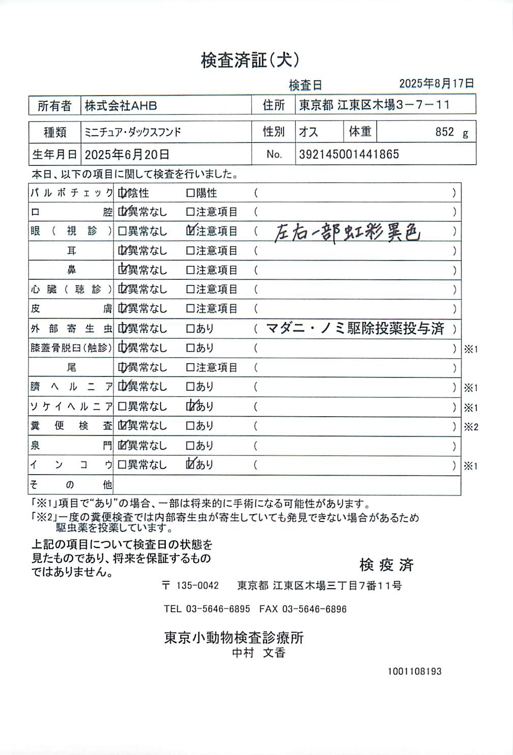 ミニチュア・ダックスフンド