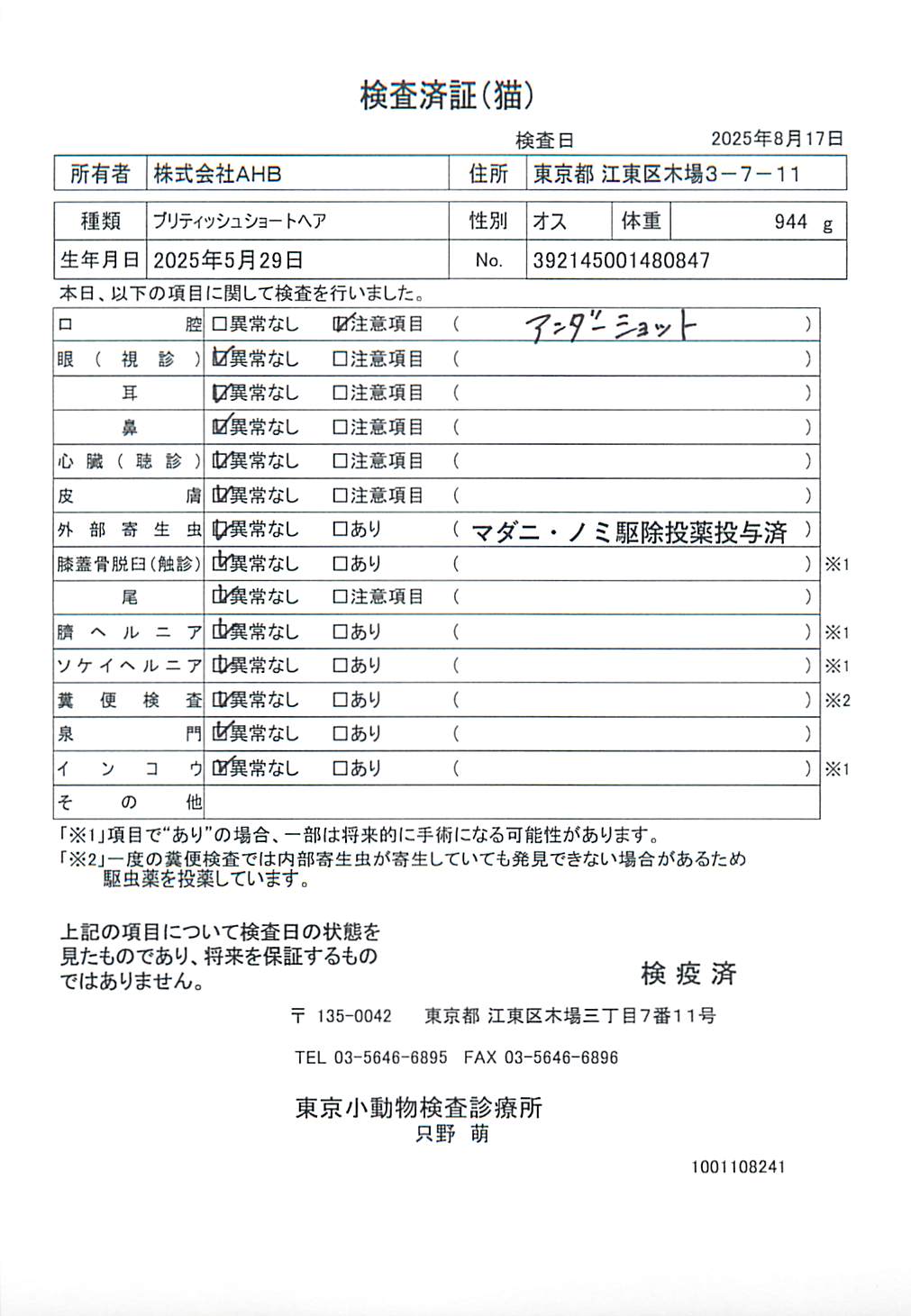 ブリティッシュショートヘア