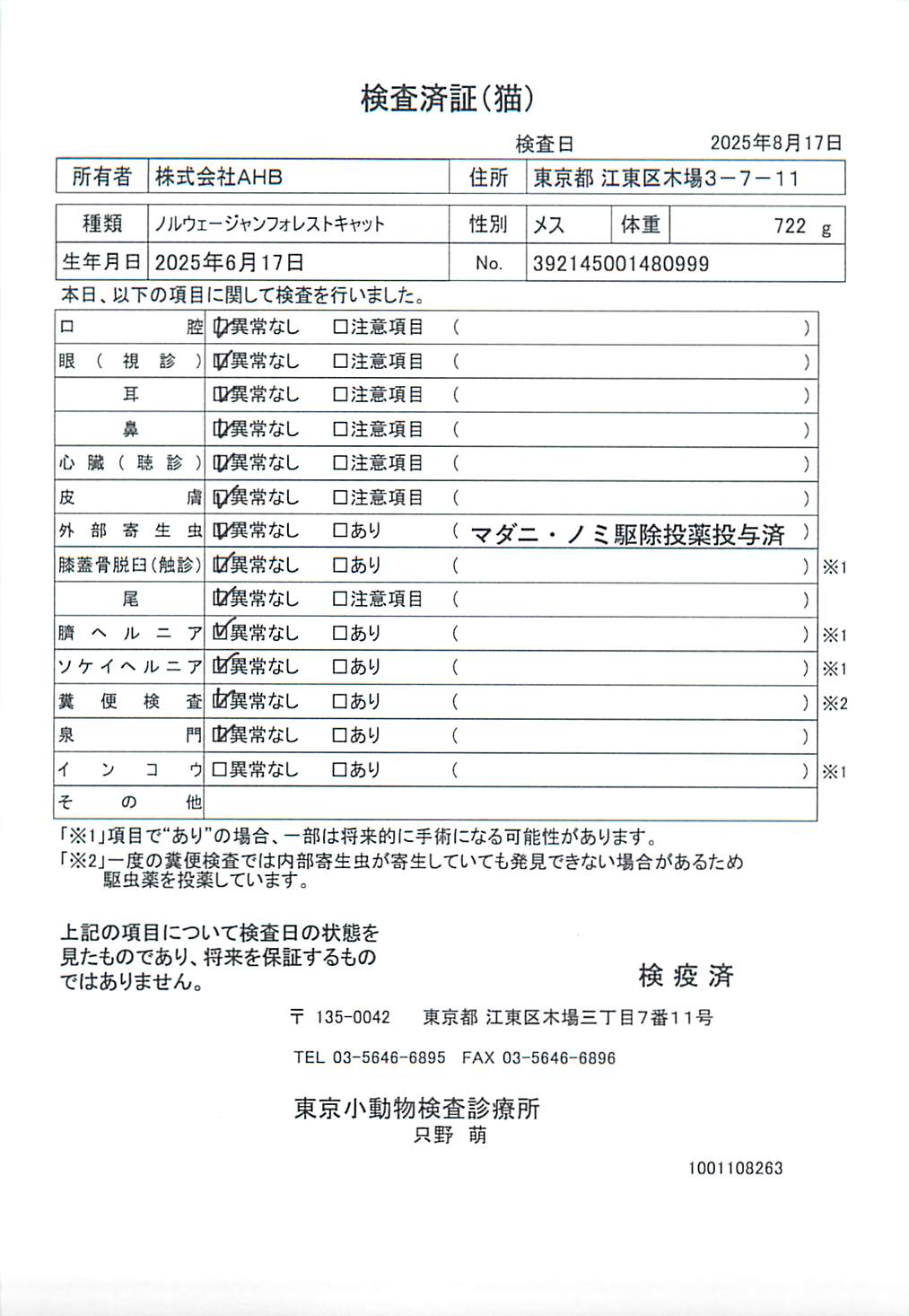 ノルウェージャンフォレストキャット