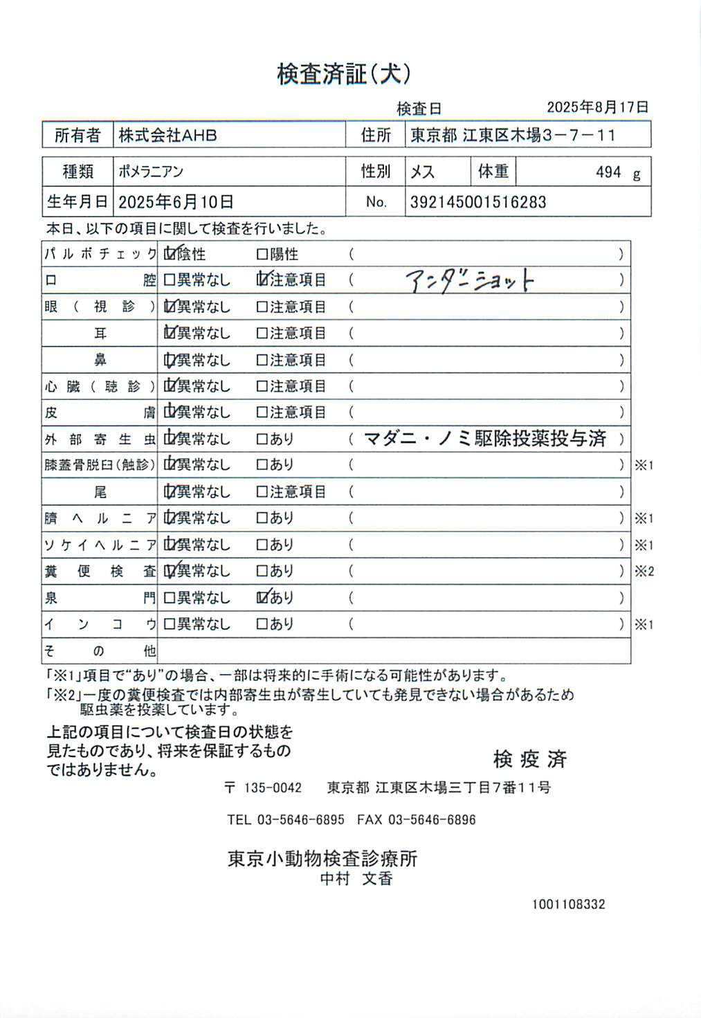 ポメラニアン