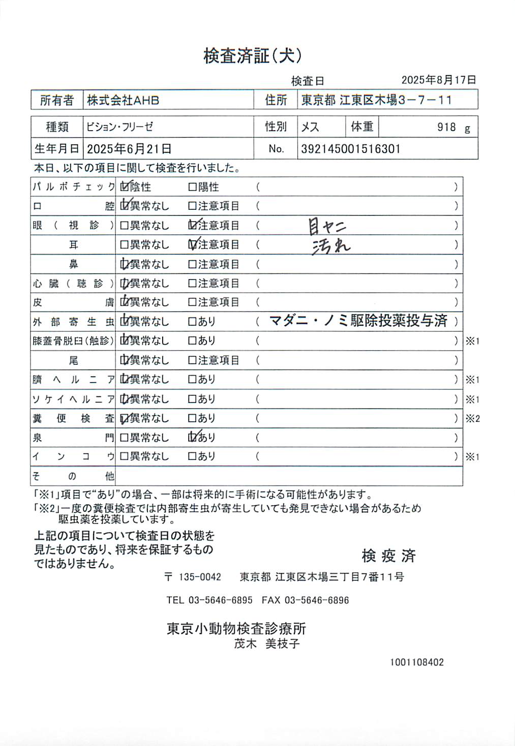 ビション・フリーゼ