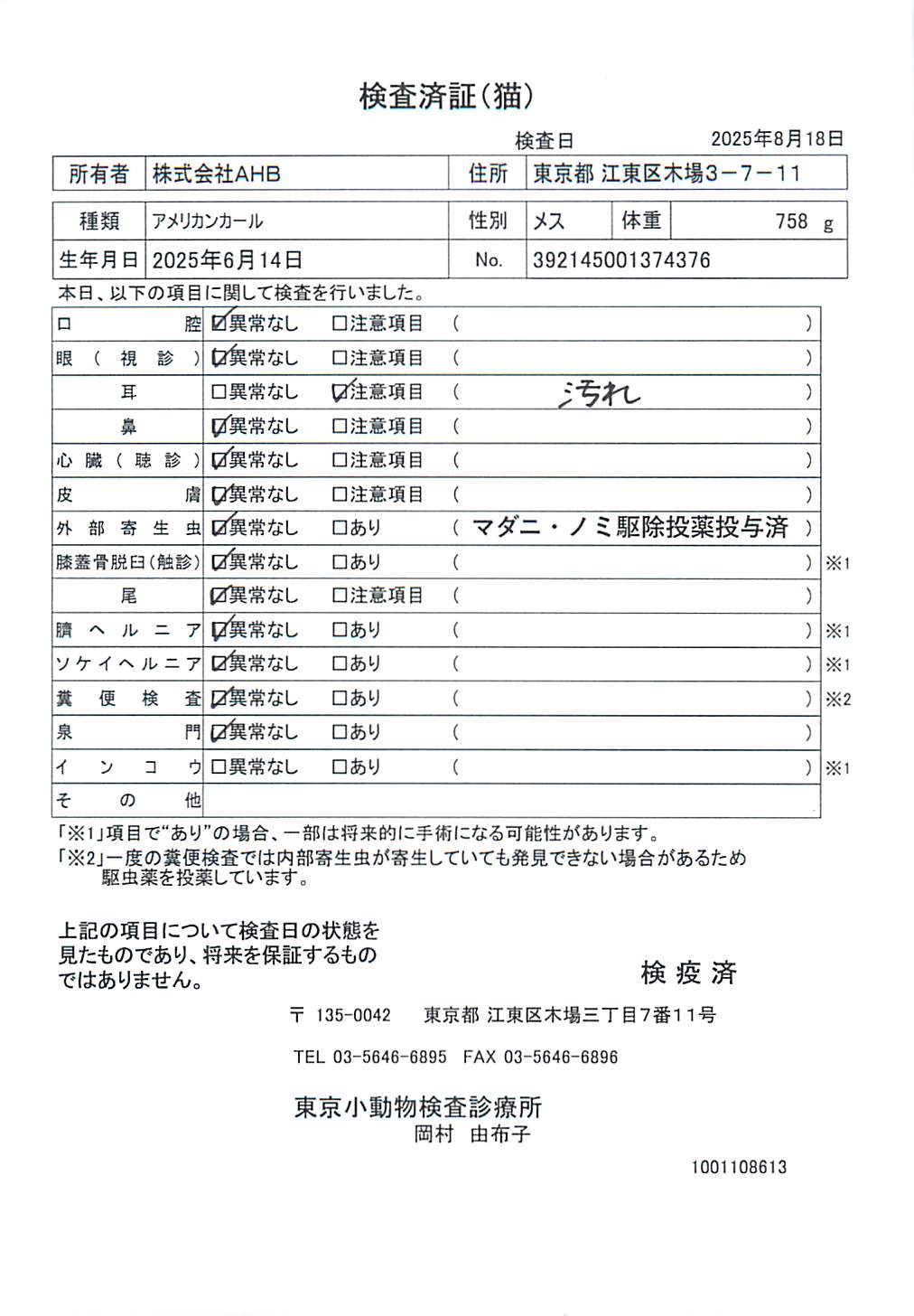 アメリカンカール