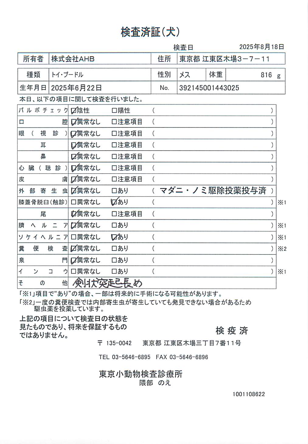トイ・プードル