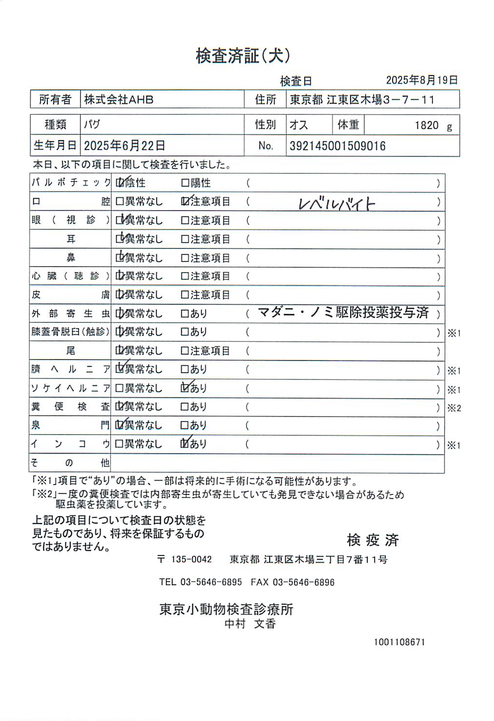 パグ