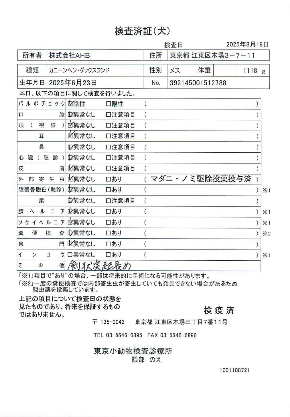 カニーンヘン・ダックスフンド