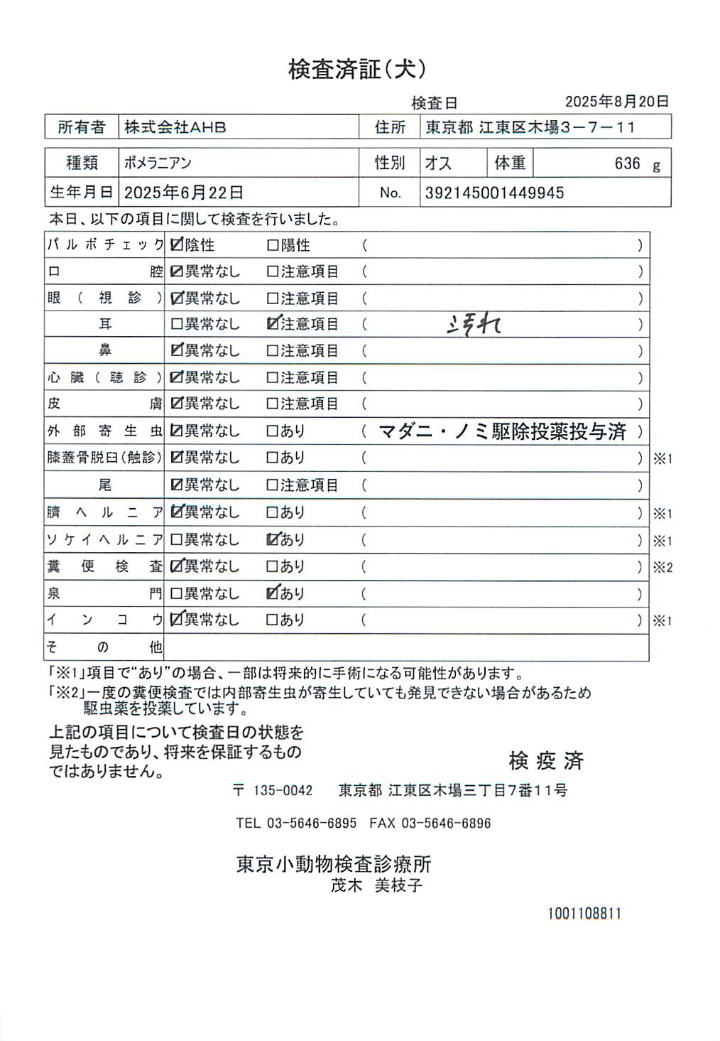 ポメラニアン