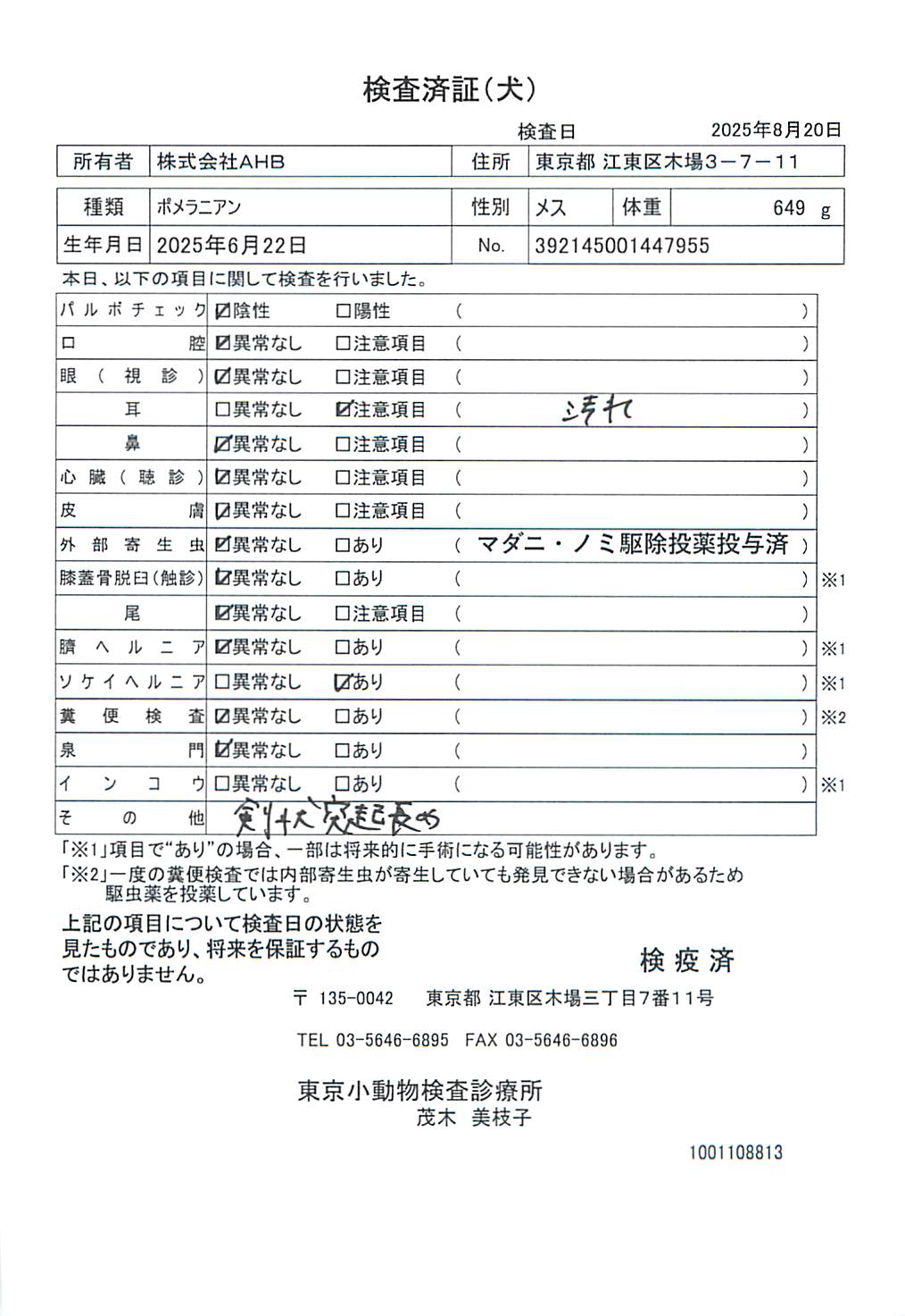ポメラニアン