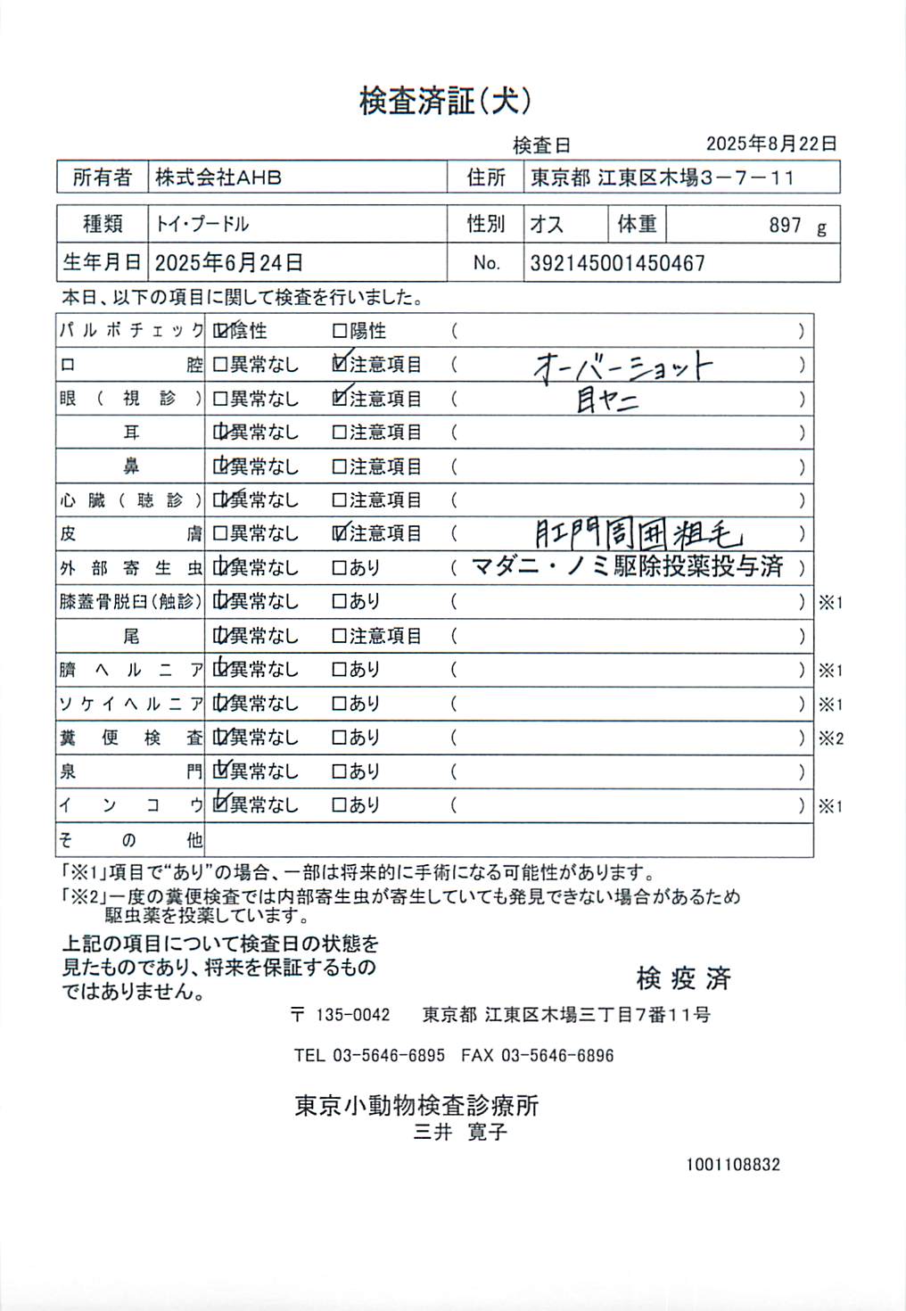 トイ・プードル