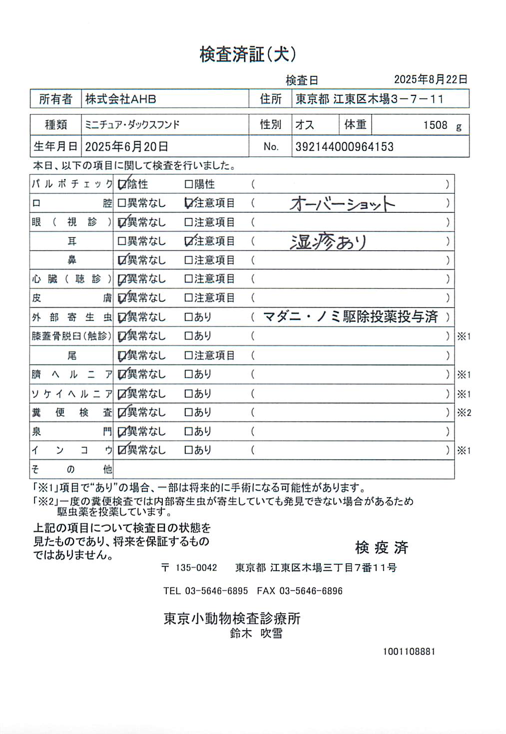 ミニチュア・ダックスフンド