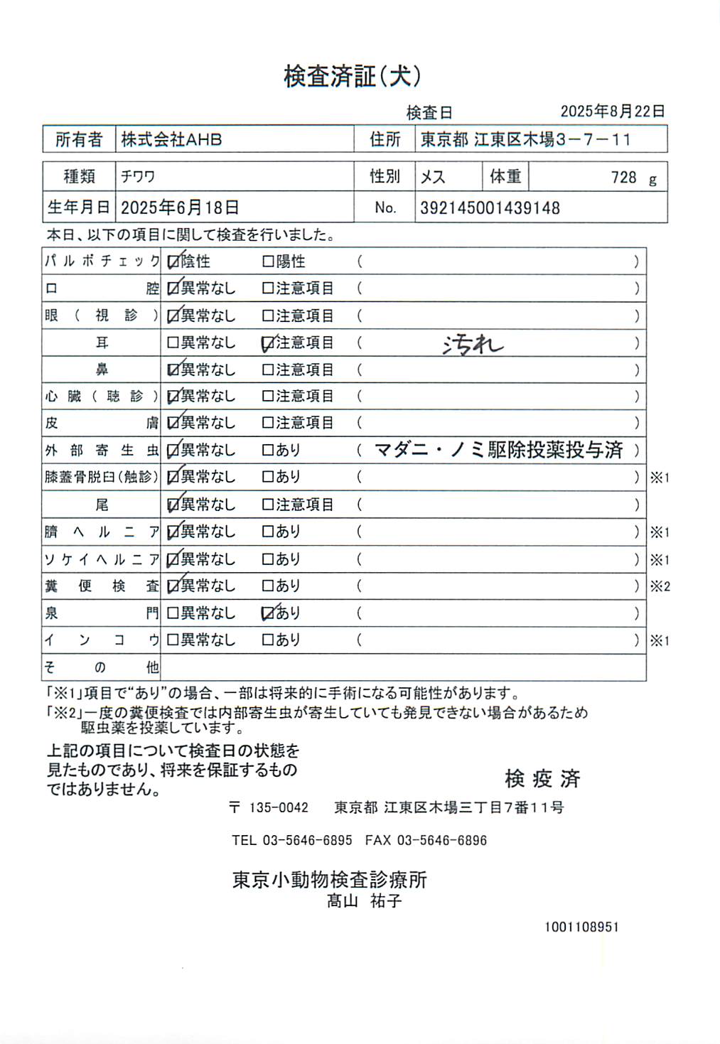 チワワ