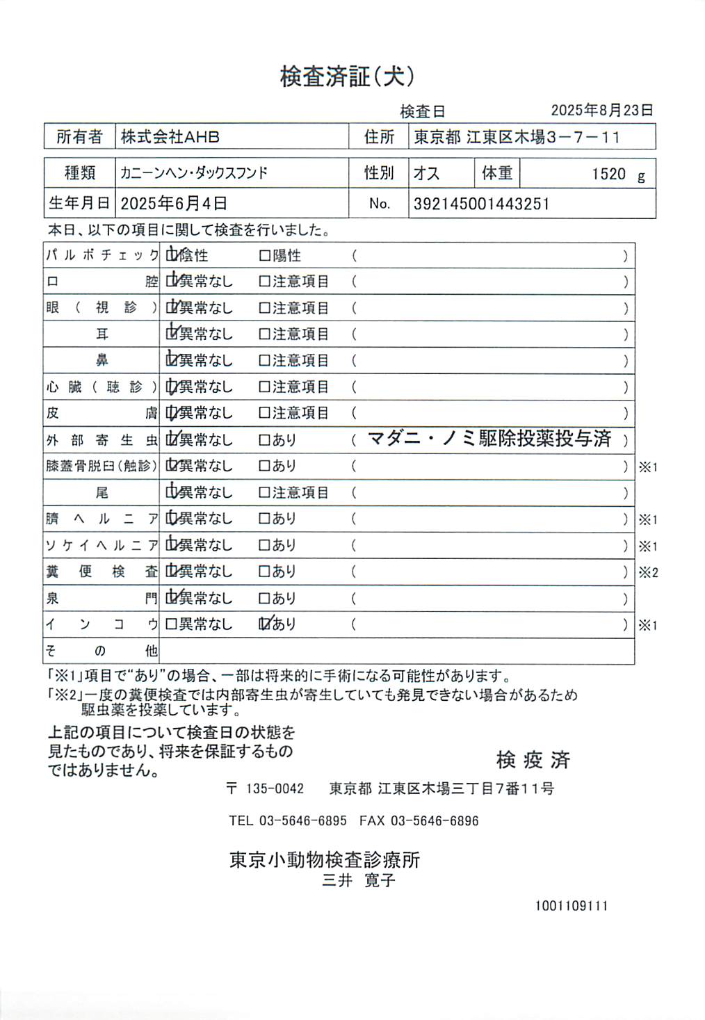 カニーンヘン・ダックスフンド