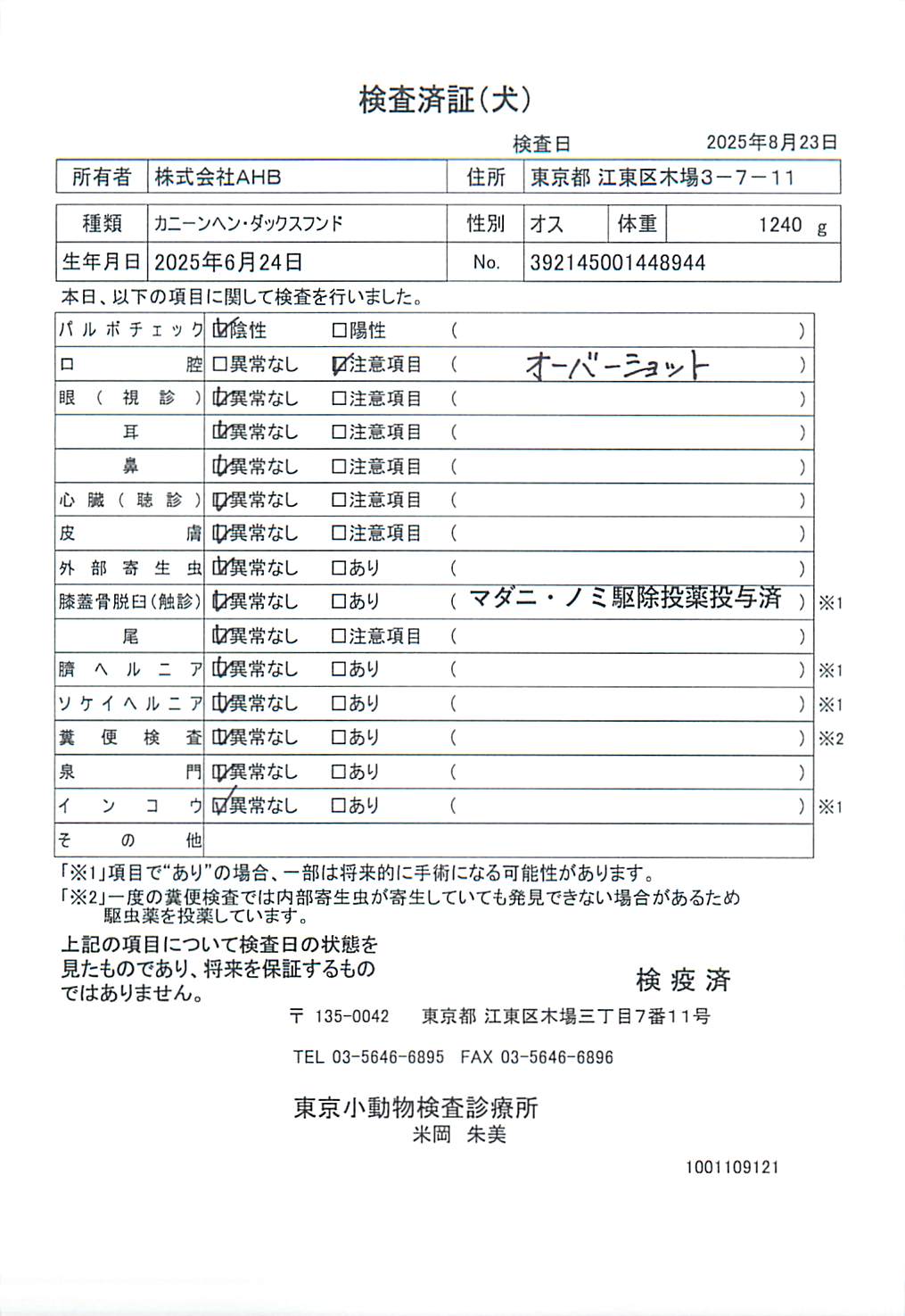 カニーンヘン・ダックスフンド