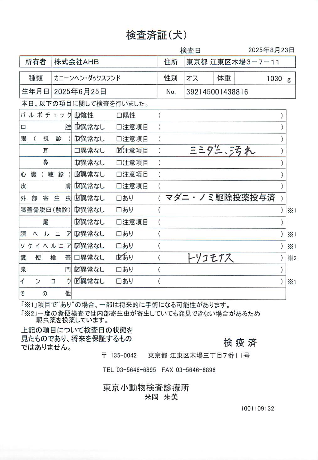 カニーンヘン・ダックスフンド