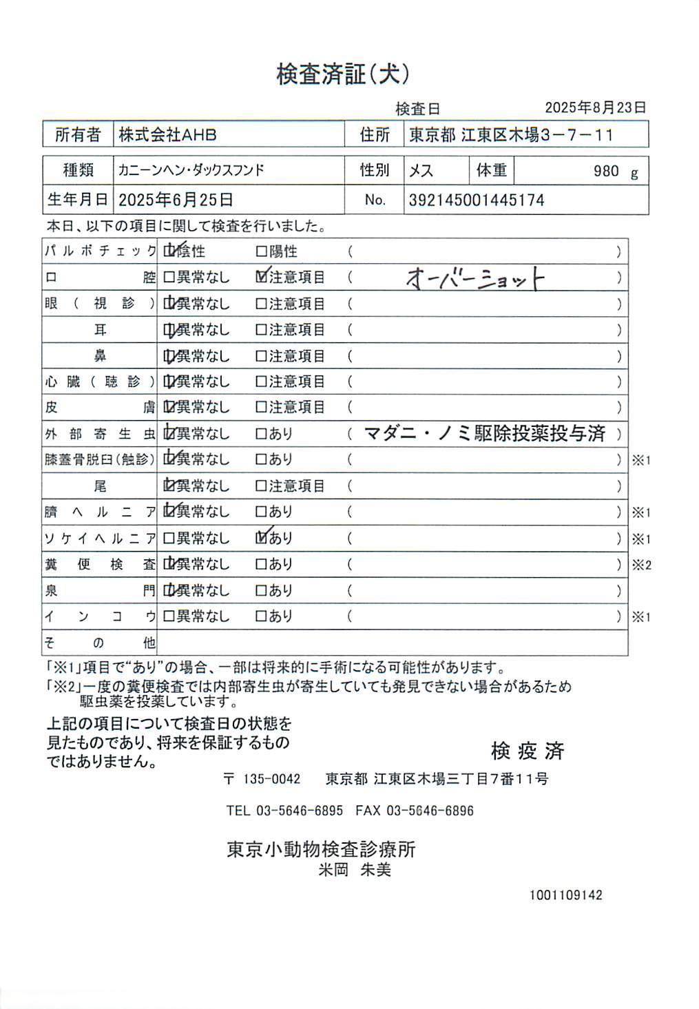 カニーンヘン・ダックスフンド
