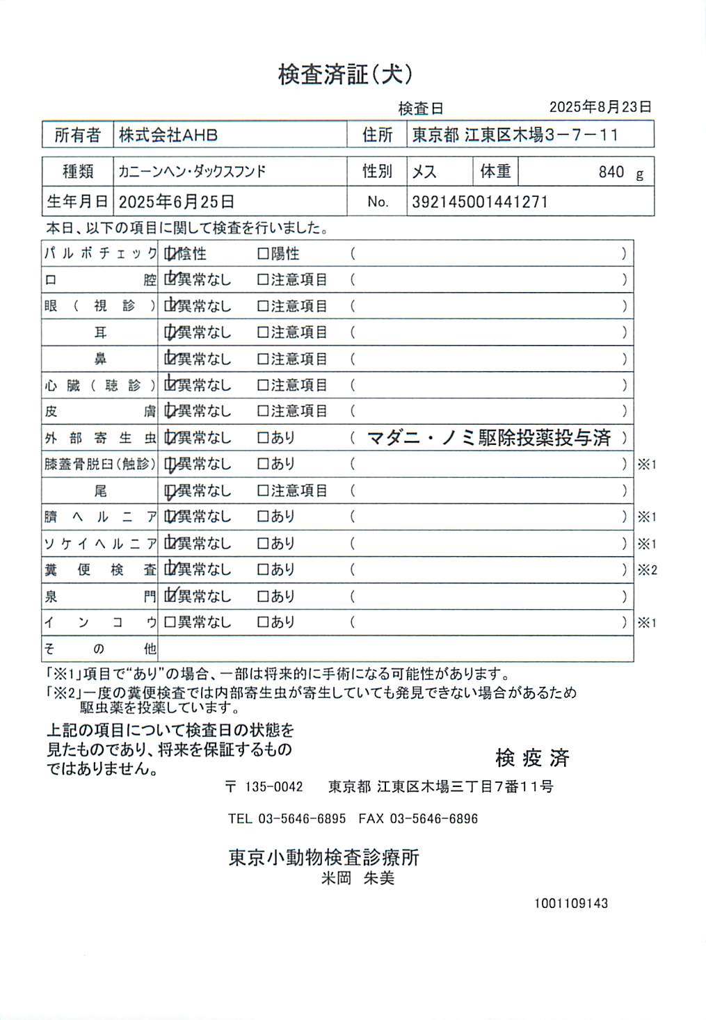 カニーンヘン・ダックスフンド