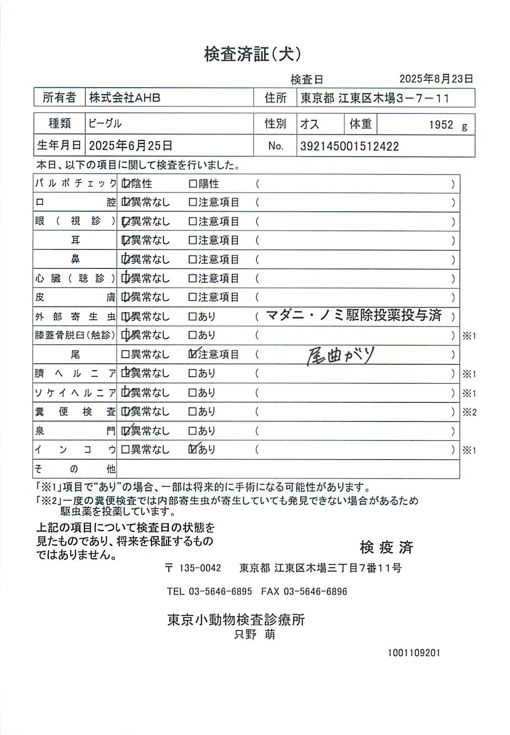 ビーグル