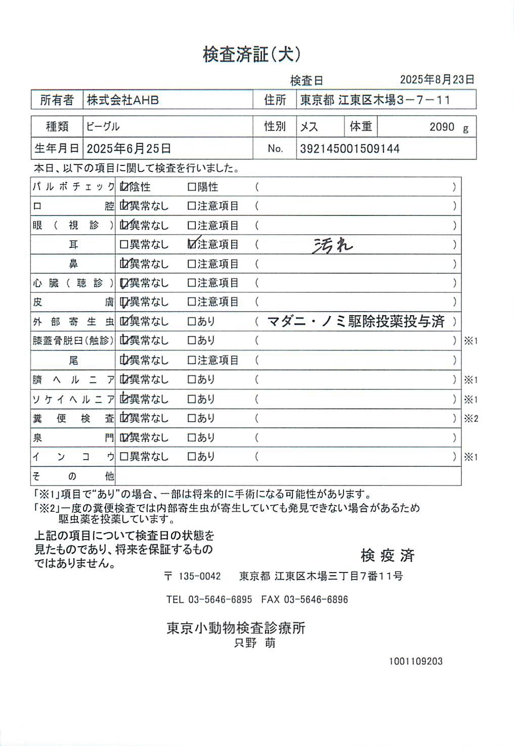 ビーグル