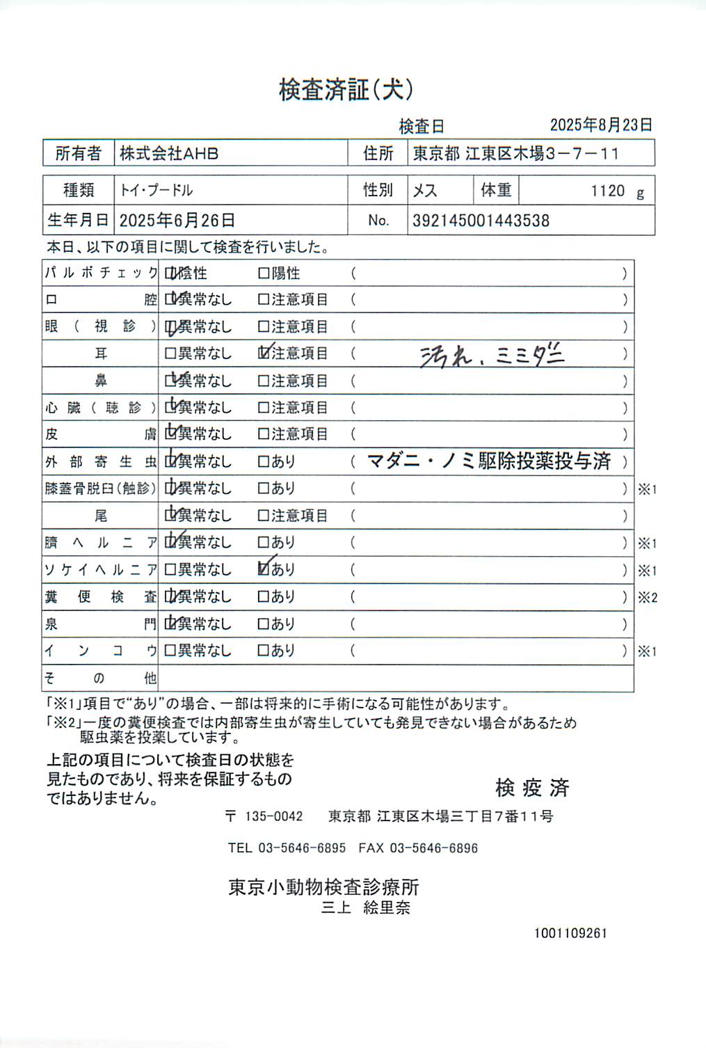 トイ・プードル