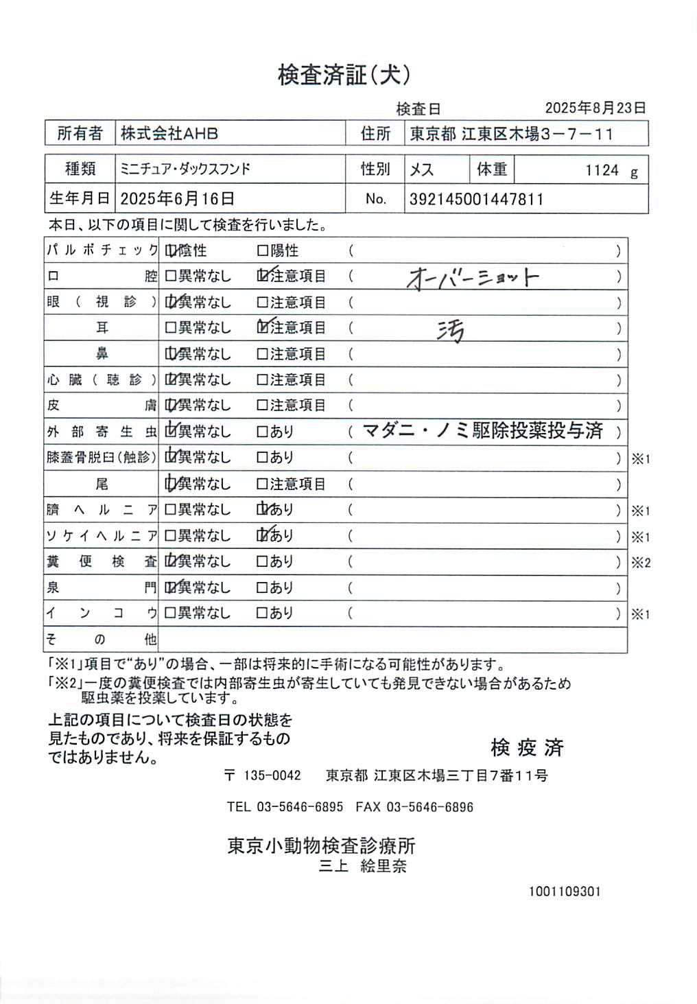 ミニチュア・ダックスフンド