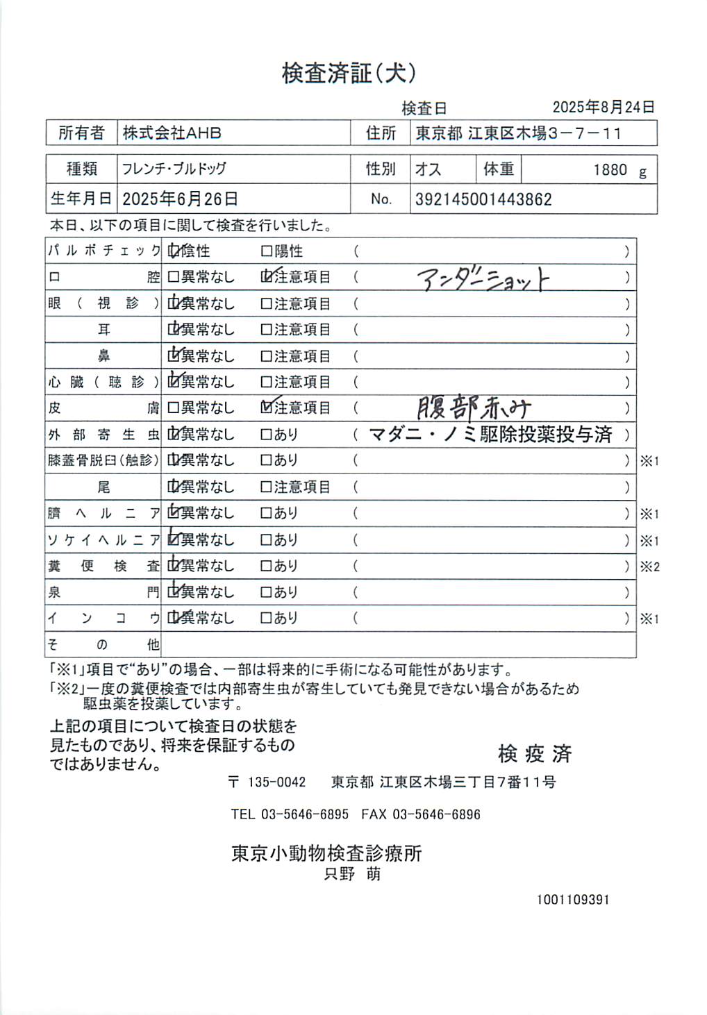 フレンチ・ブルドッグ