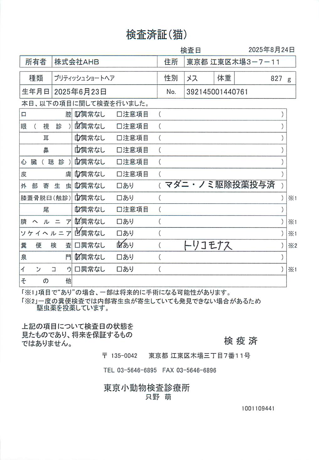 ブリティッシュショートヘア
