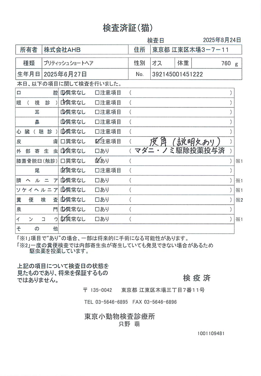 ブリティッシュショートヘア