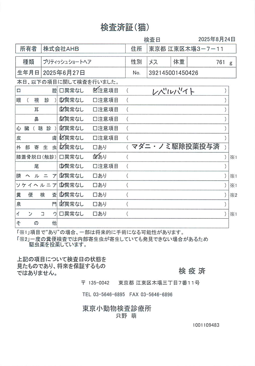 ブリティッシュショートヘア