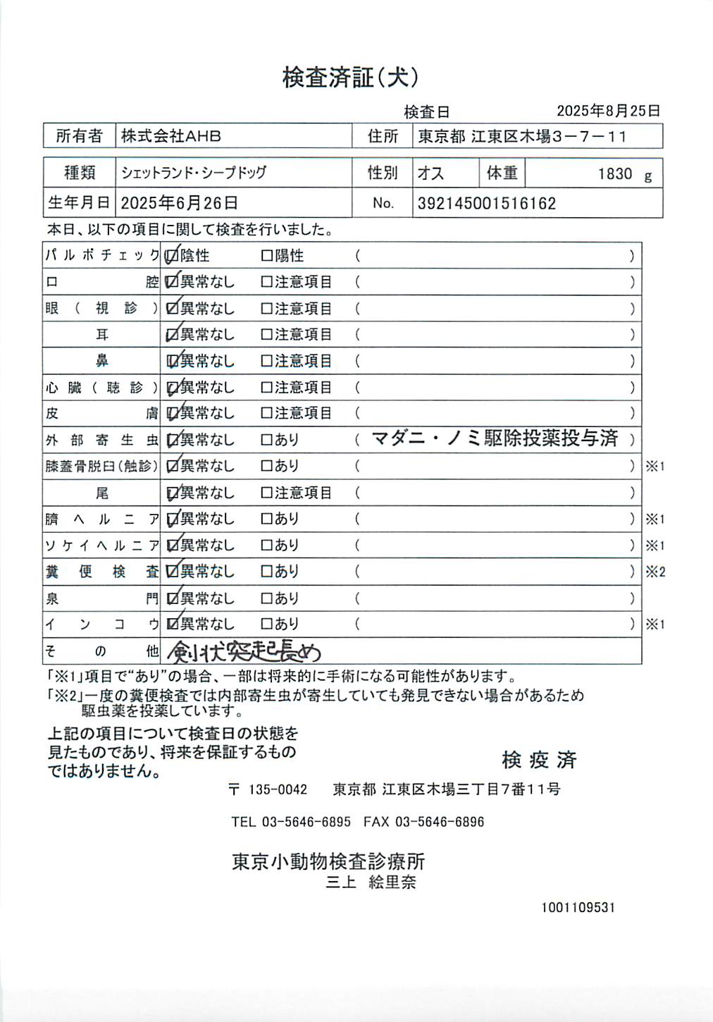 シェットランド・シープドッグ