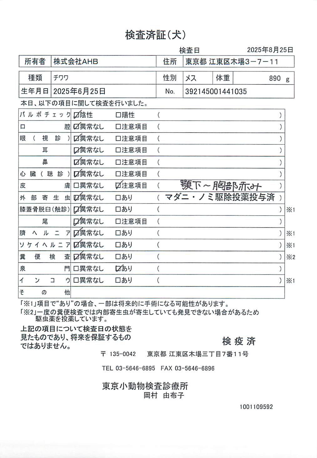 チワワ
