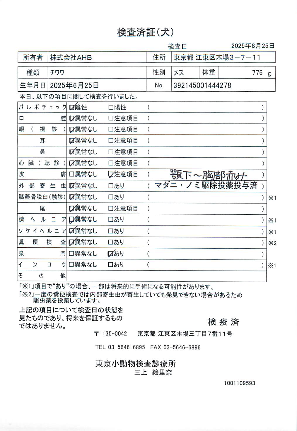 チワワ