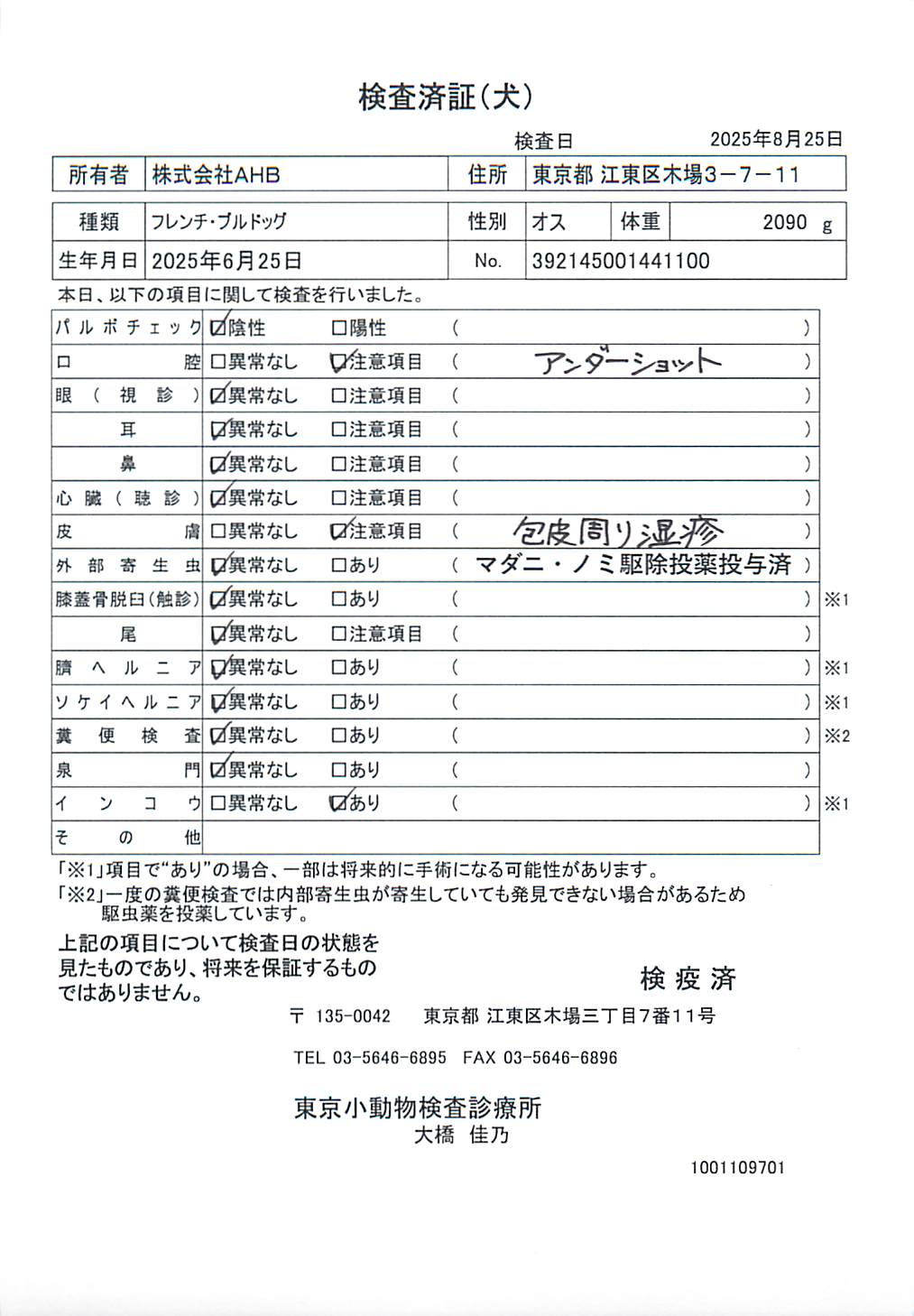 フレンチ・ブルドッグ