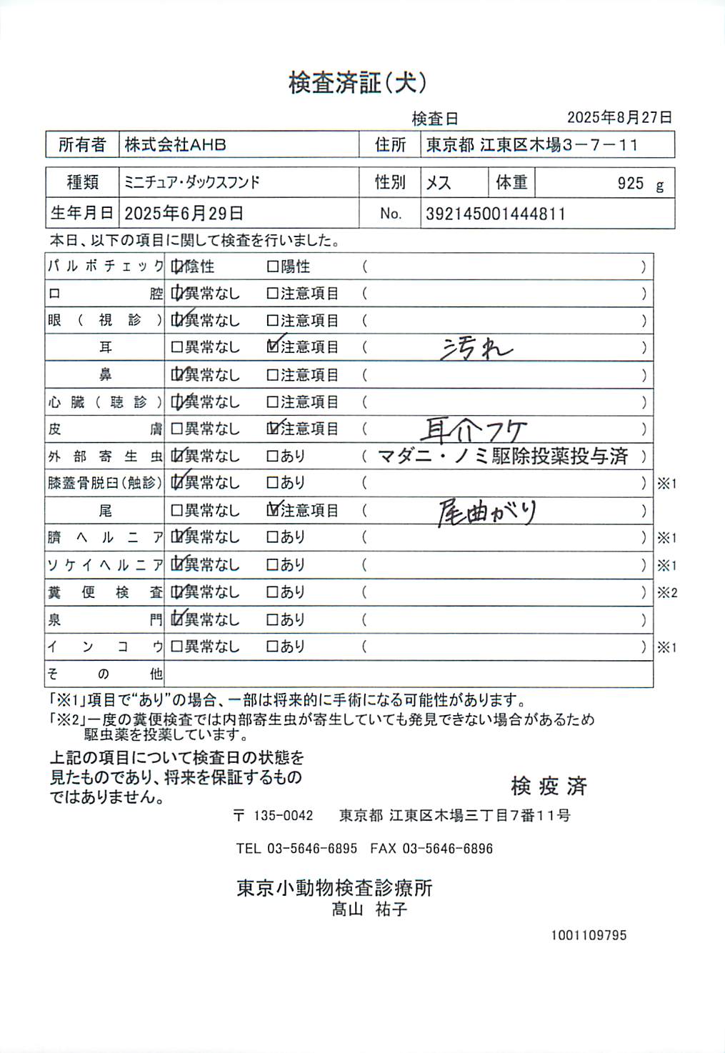 ミニチュア・ダックスフンド