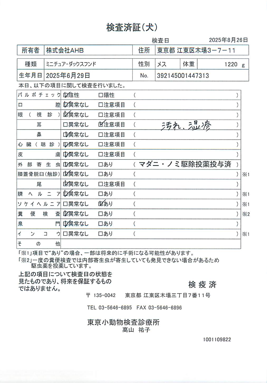 ミニチュア・ダックスフンド