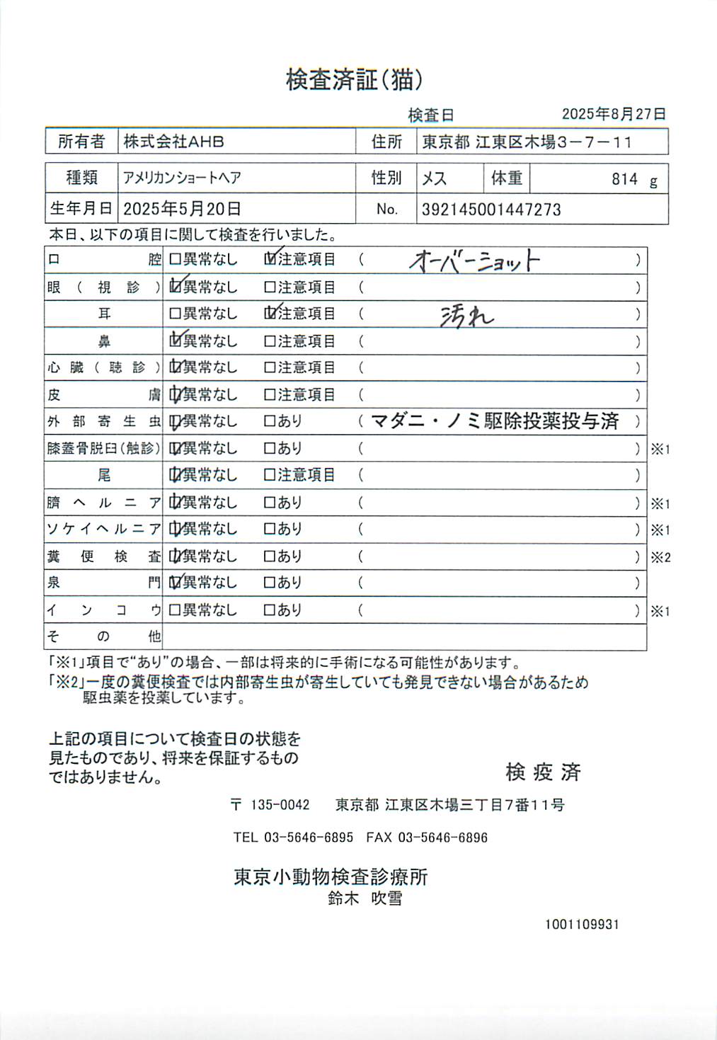 アメリカンショートヘア