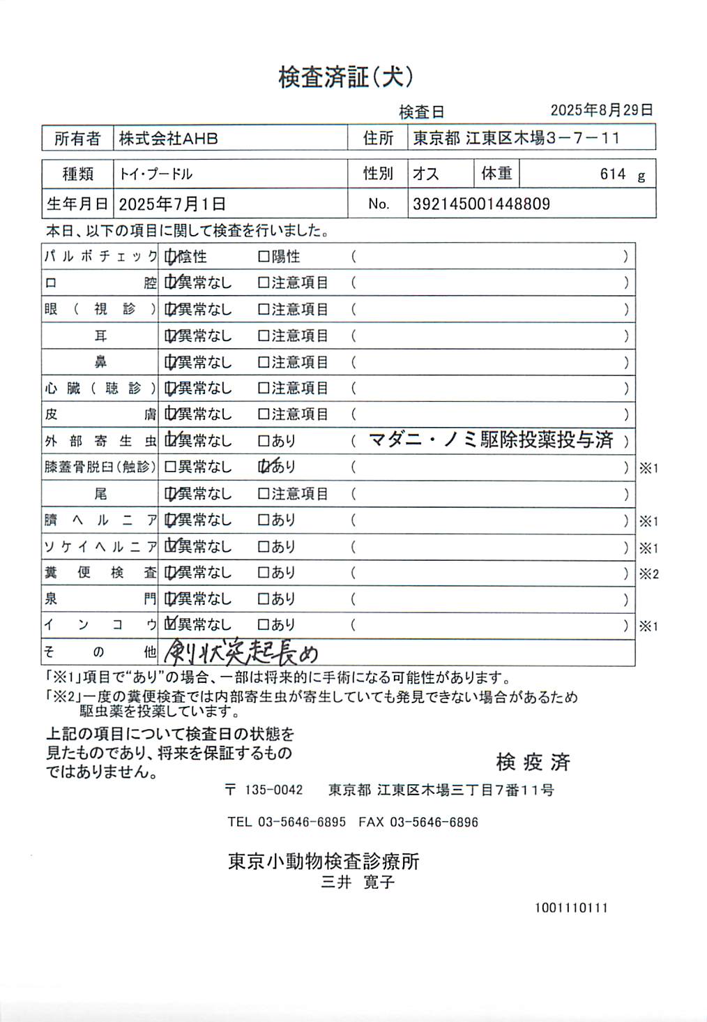 トイ・プードル