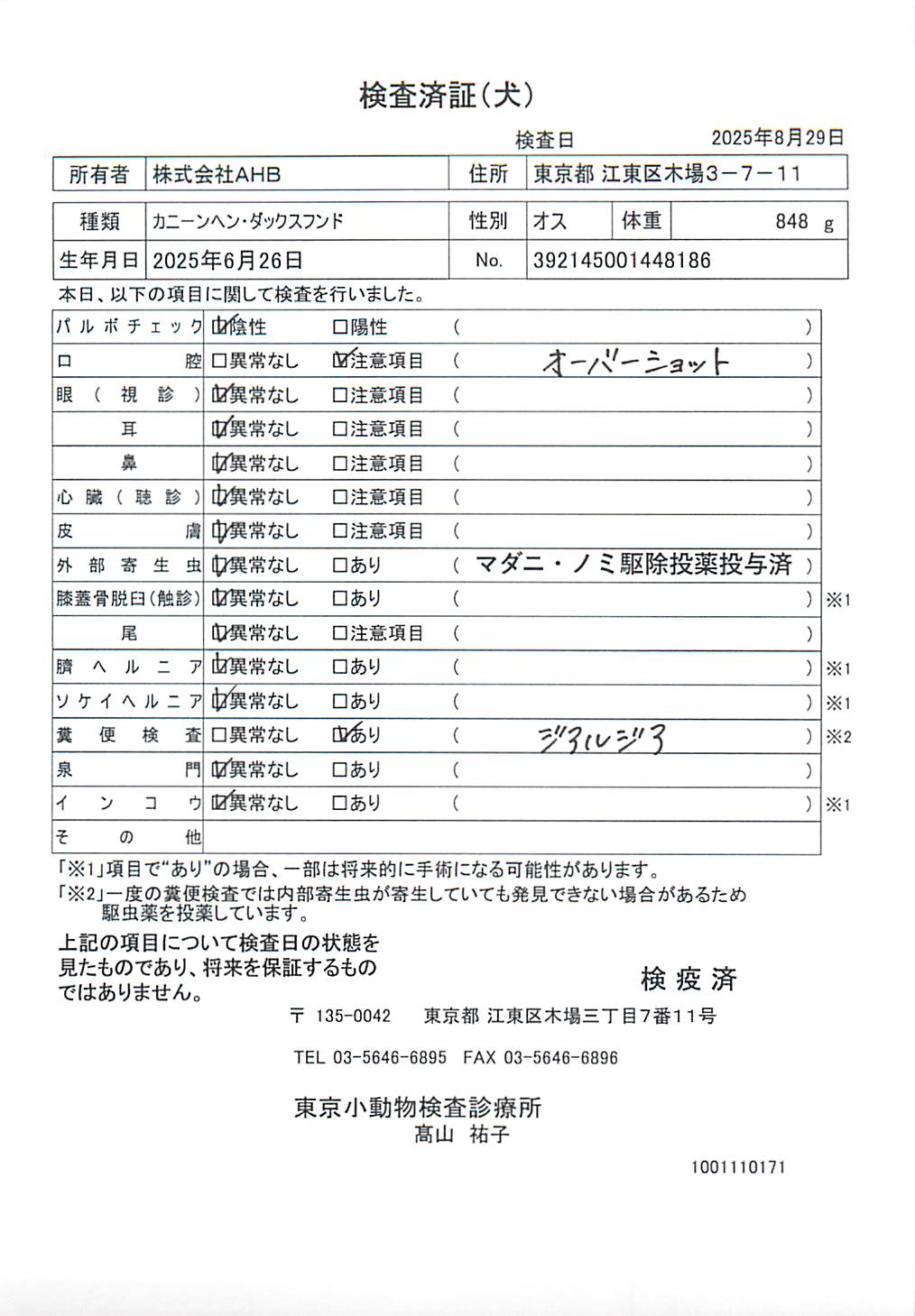 カニーンヘン・ダックスフンド