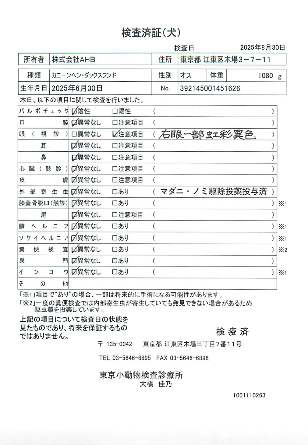 カニーンヘン・ダックスフンド