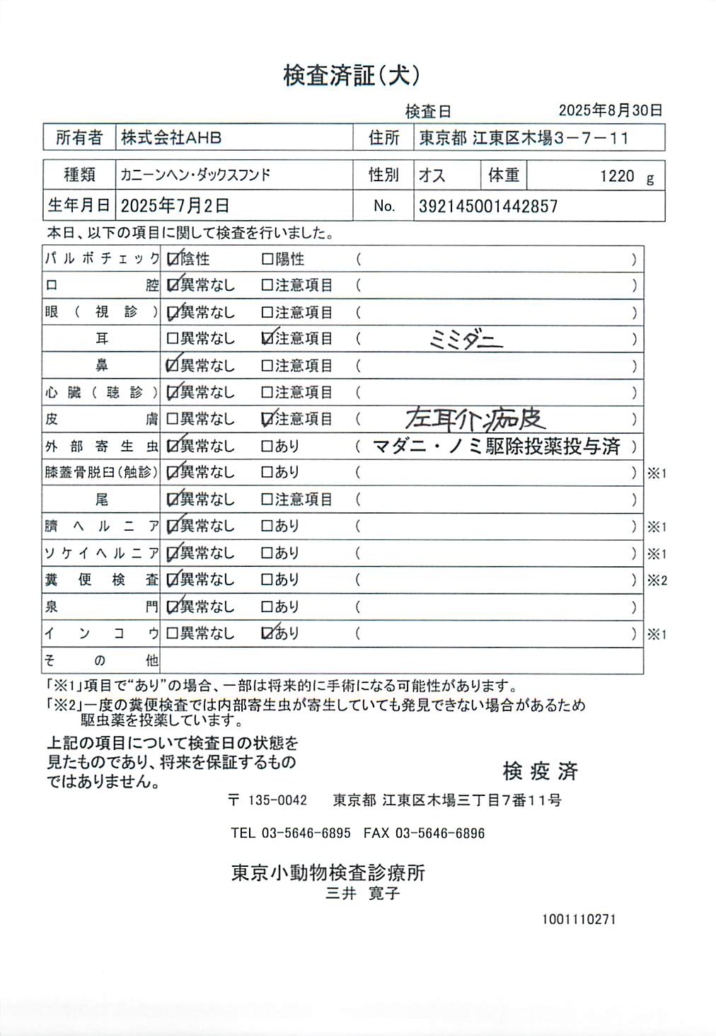 カニーンヘン・ダックスフンド