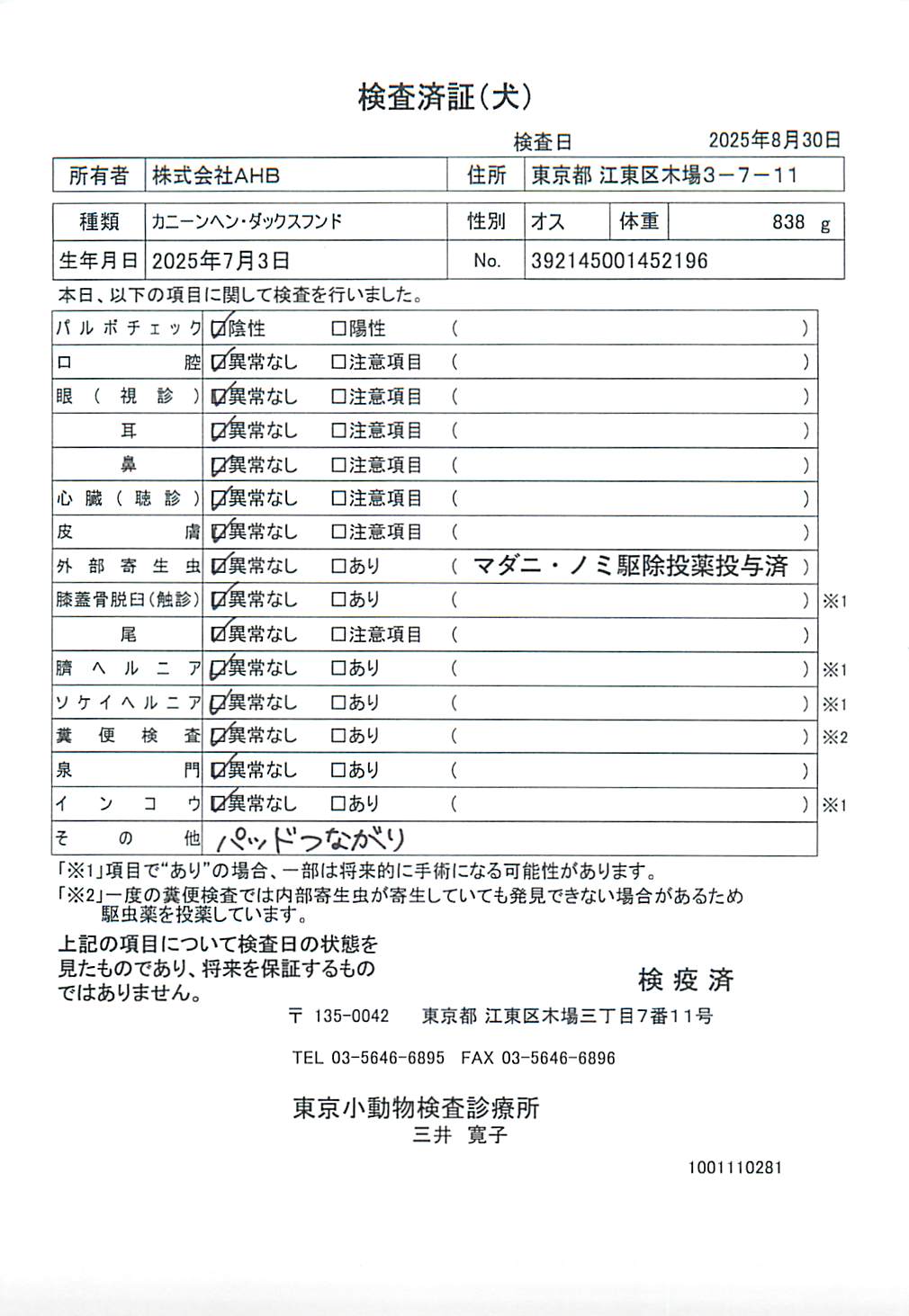 カニーンヘン・ダックスフンド